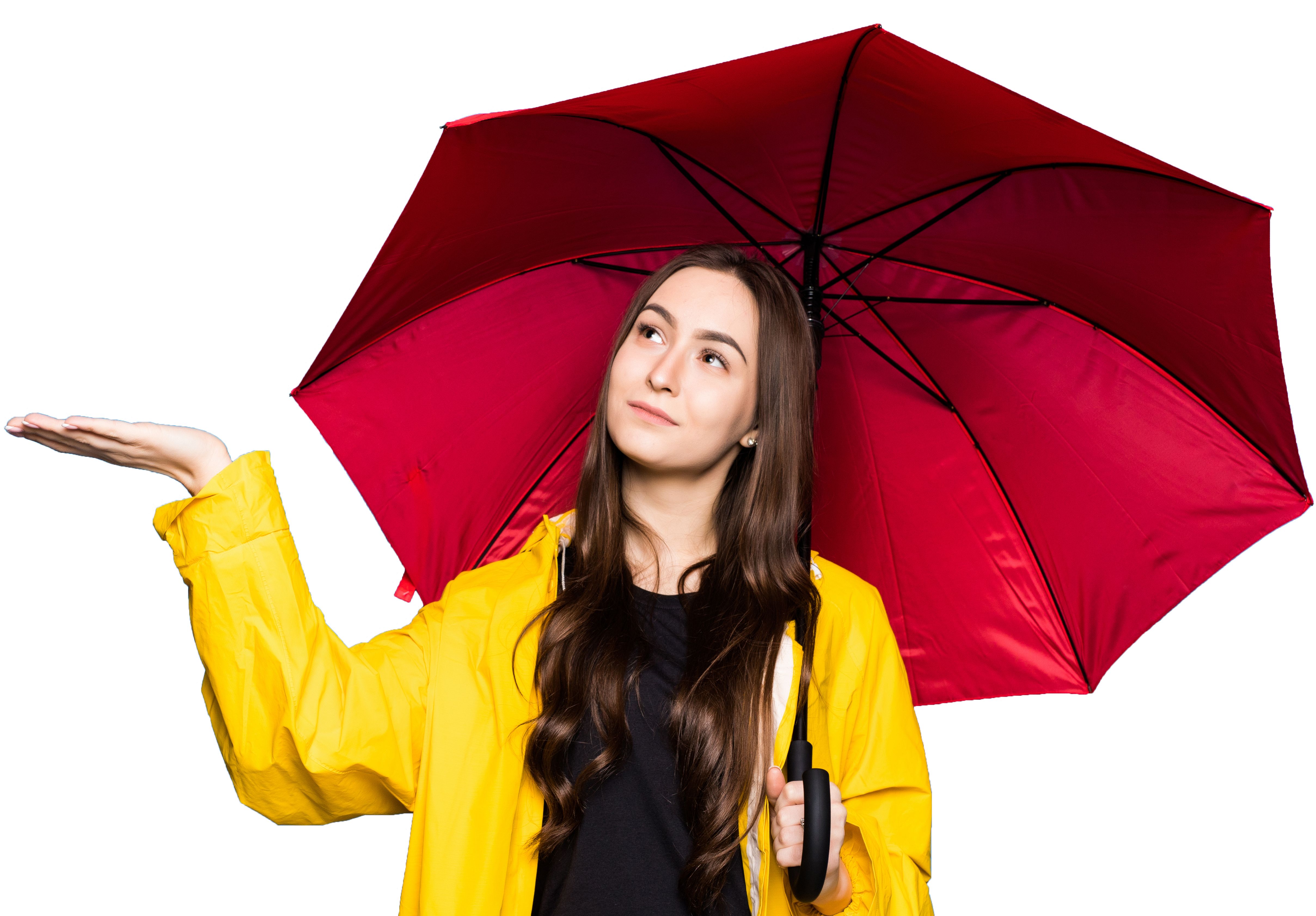 Ombrelli e accessori